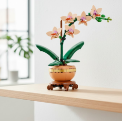 trang-tri-tet-hoa-lan-lego-botanicals-dep-ben